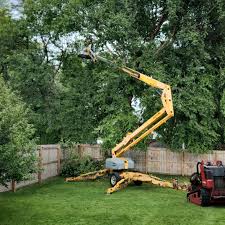 Mulching Services in Fairport, NY